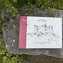 Carlow Castle - Carlow