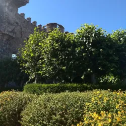 Carlow Castle - Carlow