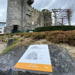 Carlow Castle - Carlow