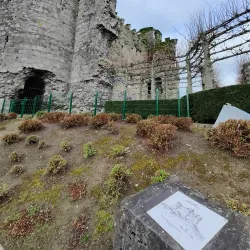 Carlow Castle - Carlow