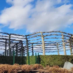 Carlow Castle - Carlow