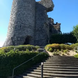 Carlow Castle - Carlow