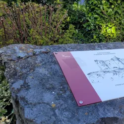 Carlow Castle - Carlow