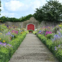 Duckett's Grove - Carlow