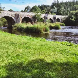 Carrick on Shannon Castle - Carrick on Shannon