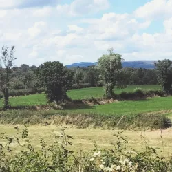 Carrick on Shannon Castle - Carrick on Shannon
