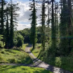 Carrick on Shannon Golf Club - Carrick on Shannon