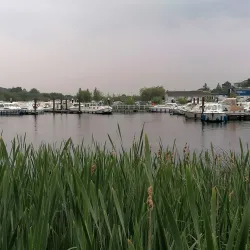 Carrick on Shannon Golf Club - Carrick on Shannon