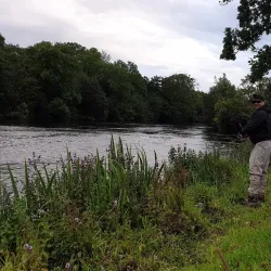 River Shannon - Carrick on Shannon
