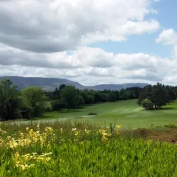 Carrick-on-Suir Golf Club - Carrick-on-Suir