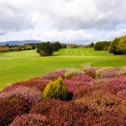 Carrick-on-Suir Golf Club - Carrick-on-Suir