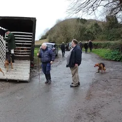 Knockgraffon Motte - Carrick-on-Suir