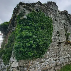 Knockgraffon Motte - Carrick-on-Suir