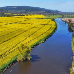 River Suir Walks - Carrick-on-Suir