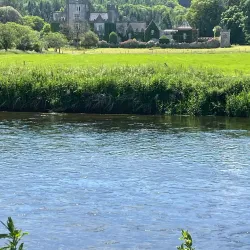 River Suir Walks - Carrick-on-Suir