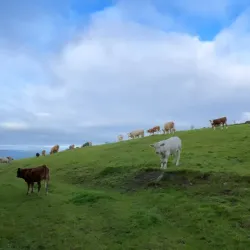 Slievenamon Mountain - Carrick-on-Suir