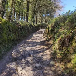 Slievenamon Mountain - Carrick-on-Suir