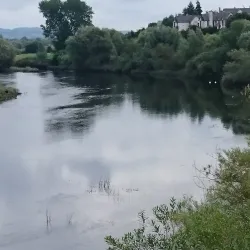 The Granary Theatre - Carrick-on-Suir
