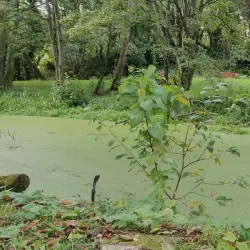 Carrigaline Community Park - Carrigaline