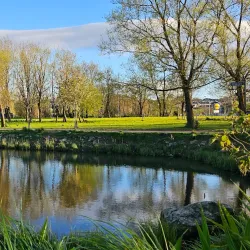 Carrigaline Community Park - Carrigaline