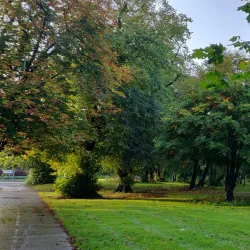 Carrigaline Community Park - Carrigaline