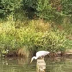 Carrigaline Community Park - Carrigaline