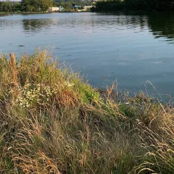 Carrigaline Heritage Centre - Carrigaline