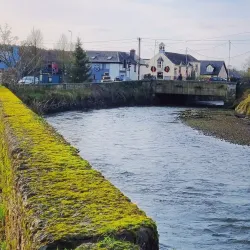 Lough Mahon - Carrigaline