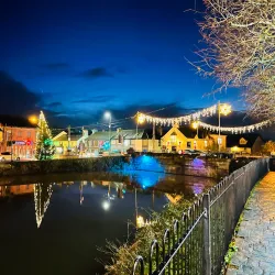 Lough Mahon - Carrigaline
