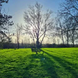 Lough Mahon - Carrigaline