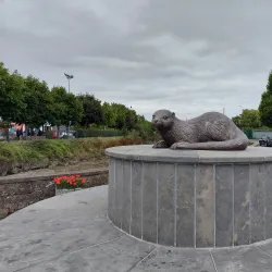 Lough Mahon - Carrigaline