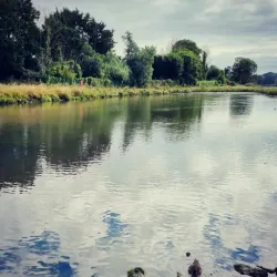 Lough Mahon - Carrigaline