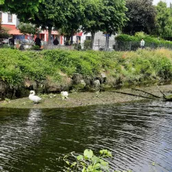 Lough Mahon - Carrigaline