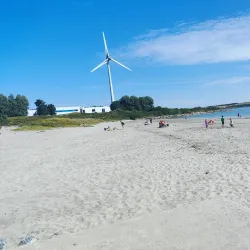 Ringaskiddy Beach - Carrigaline