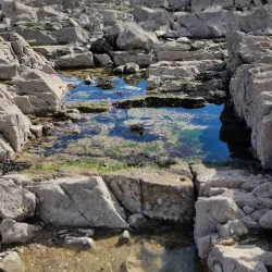 Ringaskiddy Beach - Carrigaline