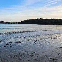 Ringaskiddy Beach - Carrigaline