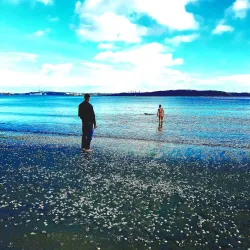 Ringaskiddy Beach - Carrigaline