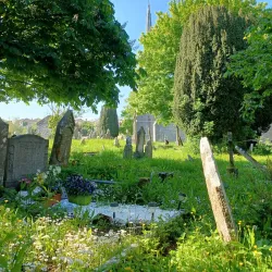 St. Mary's Church - Carrigaline
