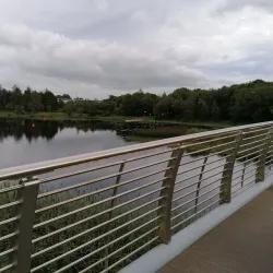 Lough Lannagh - Castlebar