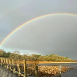 Lough Lannagh - Castlebar