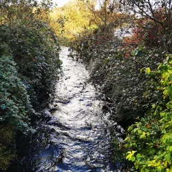 Lough Lannagh - Castlebar