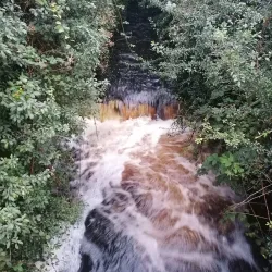 Lough Lannagh - Castlebar