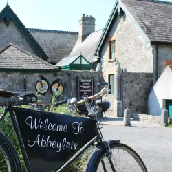 Abbeyleix Heritage House - Castletown