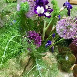 Castle Durrow - Castletown