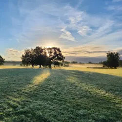 Castletown House - Castletown