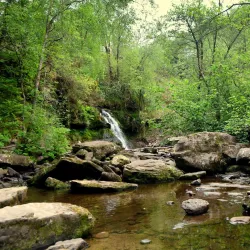 Slieve Bloom Mountains - Castletown
