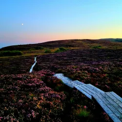 Slieve Bloom Mountains - Castletown