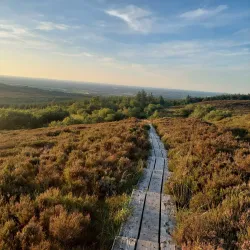 Slieve Bloom Mountains - Castletown