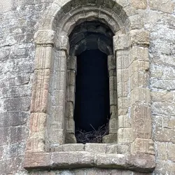 Timahoe Round Tower - Castletown