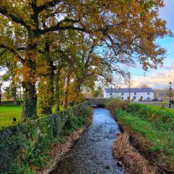 Timahoe Round Tower - Castletown